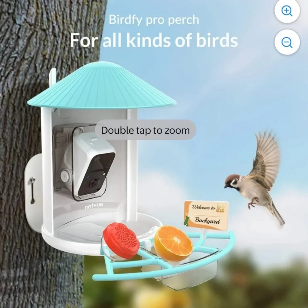 Birdfy Feeder with Camera - White and Green